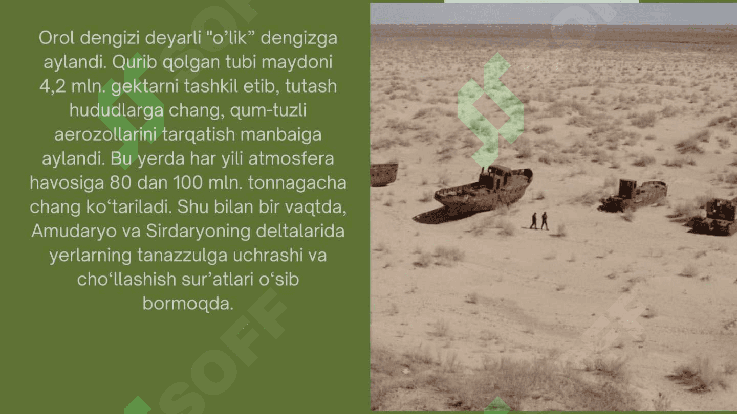 Orol muammosi. Orolning qurigan tubida yashil makon barpo etish 6