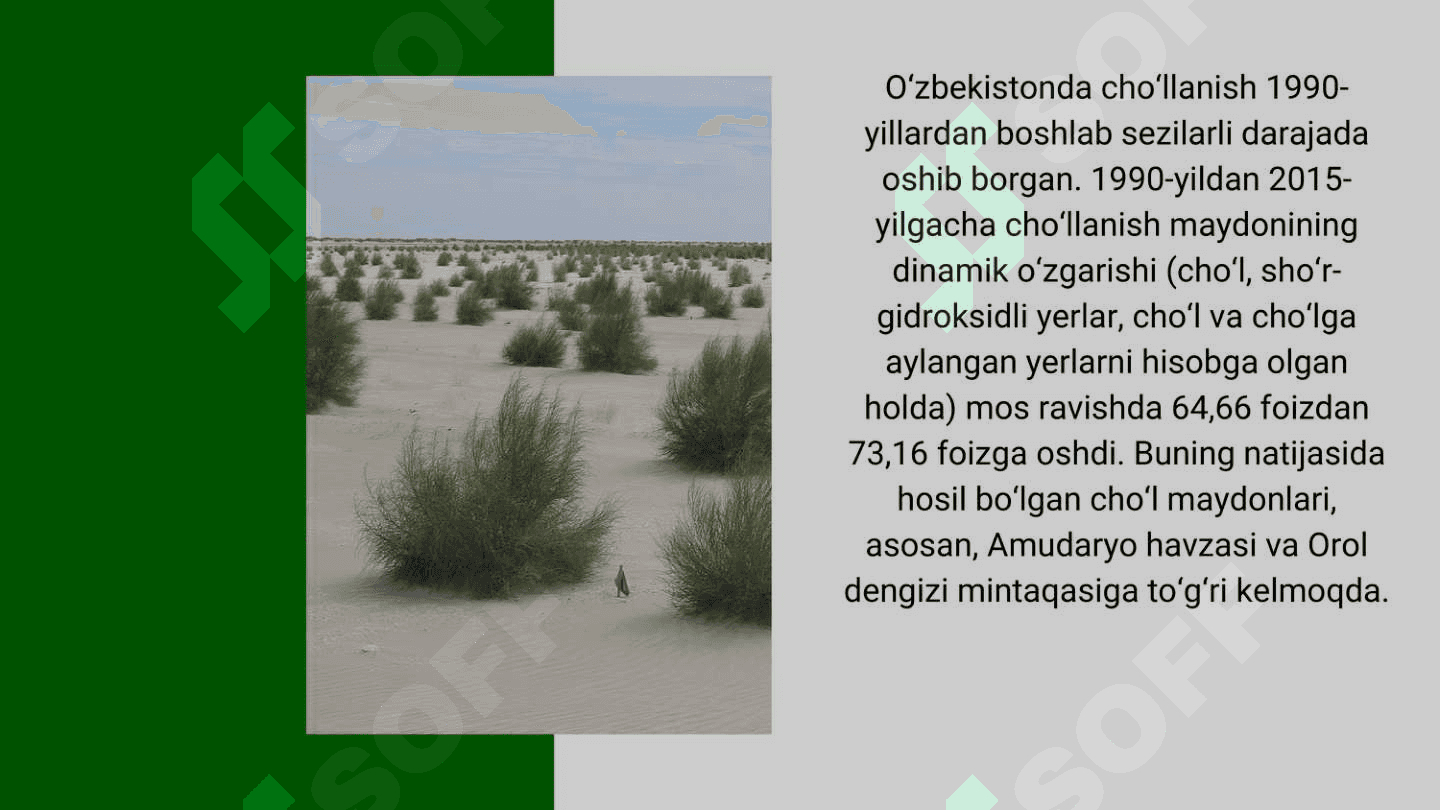 Orol muammosi. Orolning qurigan tubida yashil makon barpo etish 7