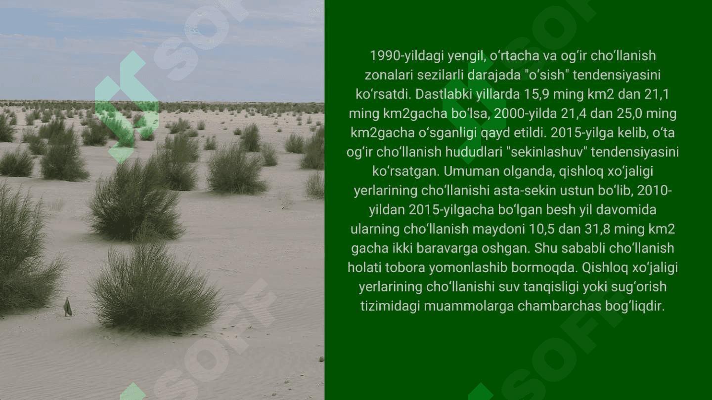Orol muammosi. Orolning qurigan tubida yashil makon barpo etish 8