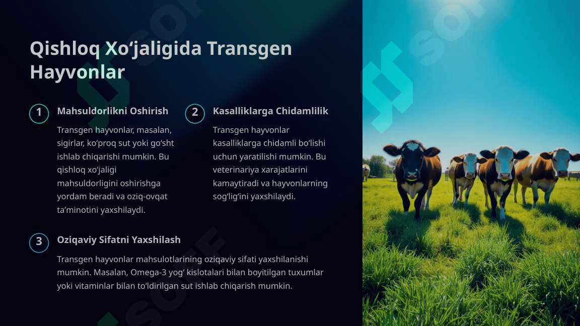 Transgen Hayvonlar Texnologiyasi- Ilm-Fan va Istiqbol 4