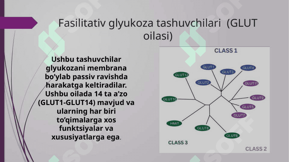 Glukoza tashuvchilarining tuzilishi spisifikligi va klinik ahamiyati 3