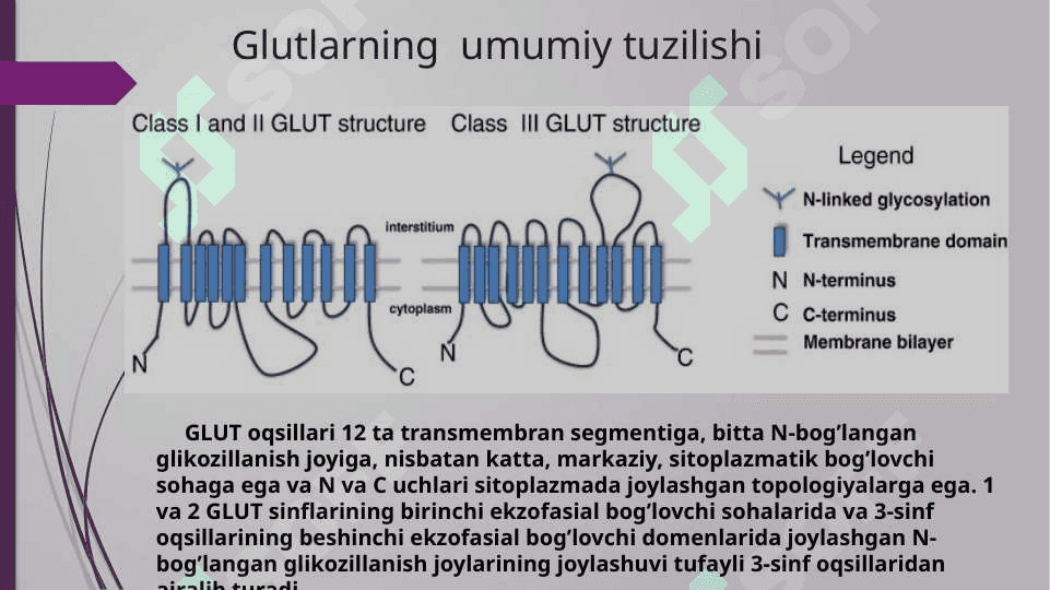 Glukoza tashuvchilarining tuzilishi spisifikligi va klinik ahamiyati 4