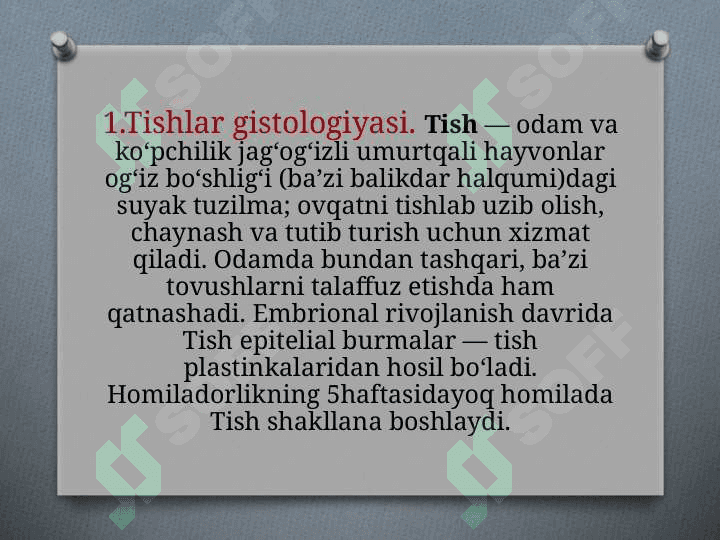 Tishlar anatomiyasi va gistalogiyasi 3
