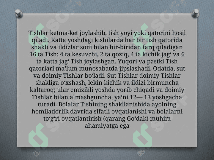 Tishlar anatomiyasi va gistalogiyasi 4