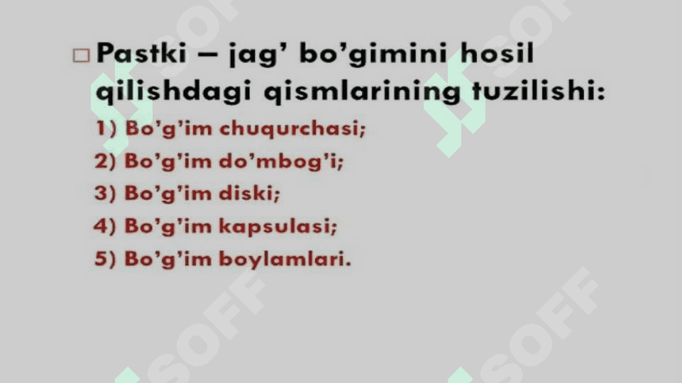 CHAKKA  PASTKI JAG’ BO’G’IMI 8