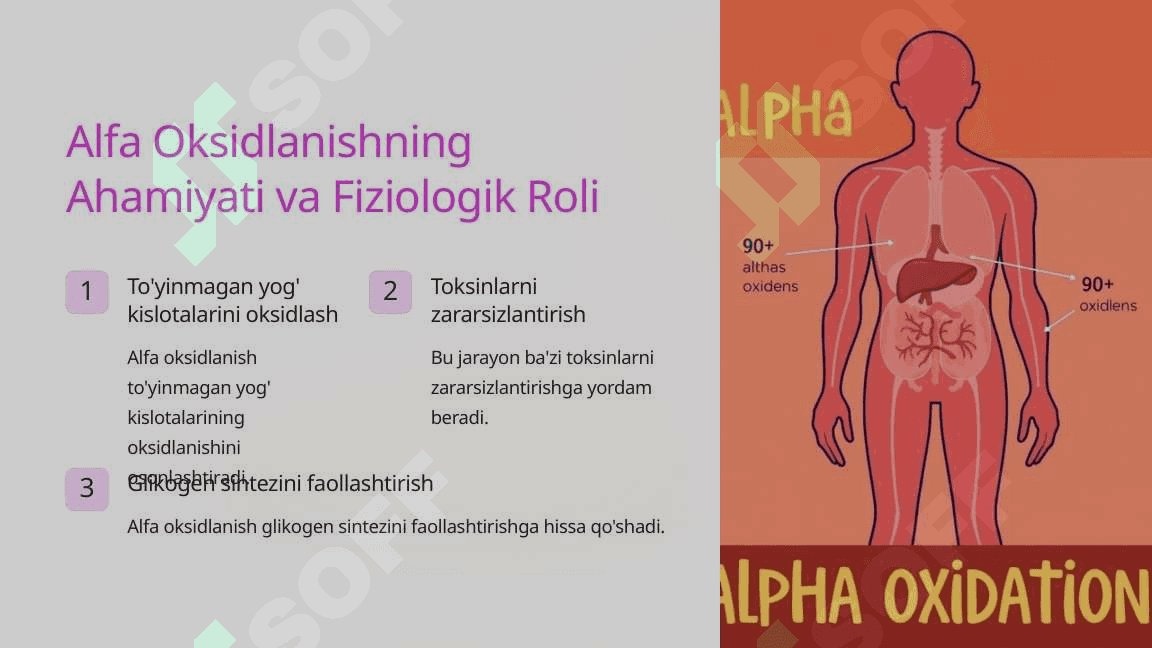 Yog' Kislotalarning Alfa Oksidlanishi 4