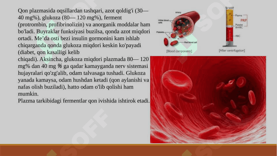 Qon tomir tizimi 3