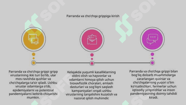 Parranda va cho‘chqa grippi va uning hozirgi kundagi muammolari 3