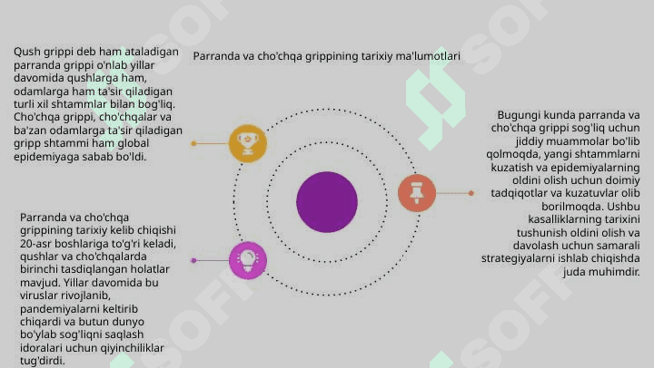 Parranda va cho‘chqa grippi va uning hozirgi kundagi muammolari 4