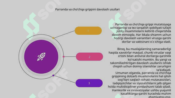 Parranda va cho‘chqa grippi va uning hozirgi kundagi muammolari 8