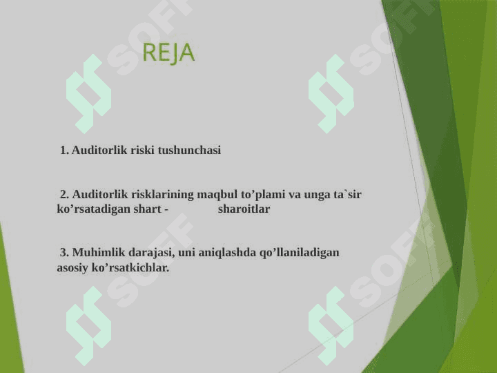 Auditorlik riski tushunchasi 2