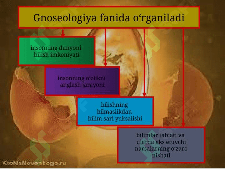 Bilish falsafasi. Gnoseologiya 7