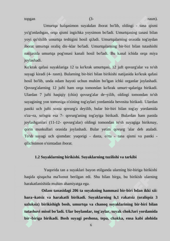 Odam skeleti tuzilishi 6