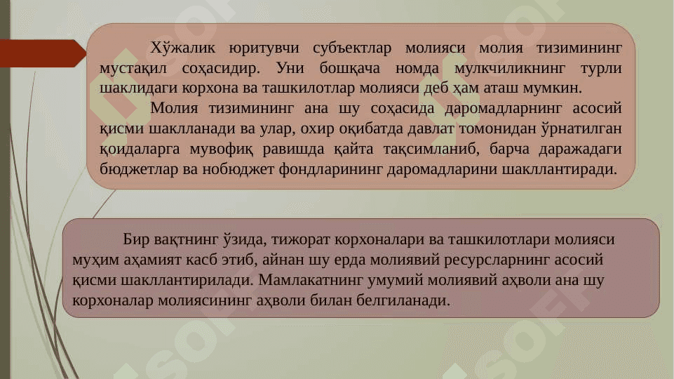 Хўжалик юритувчи субъектлар молиясини моҳияти ва функциялари pptx 5