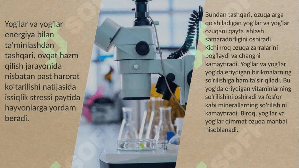 Ozuqa tarkibidagi yogʻlarni sifat analizi 4