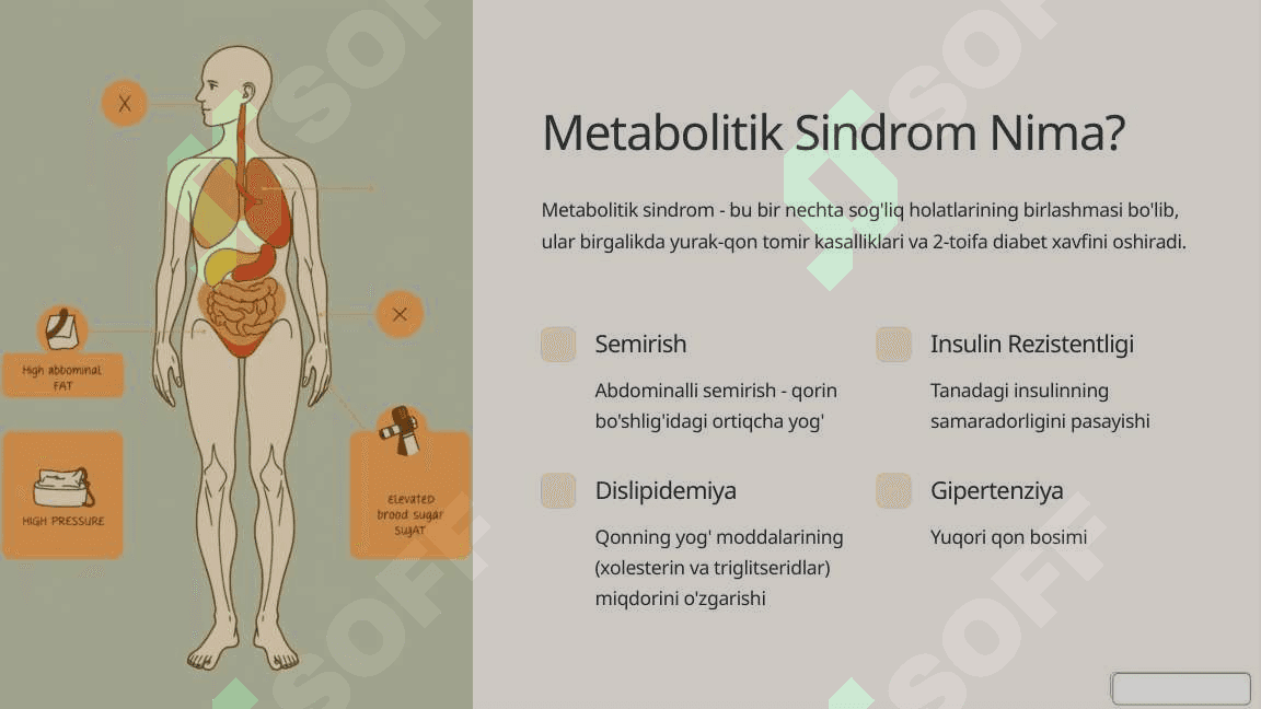 Metabolitik Sindrom: Asoslar va Asoratlar 2