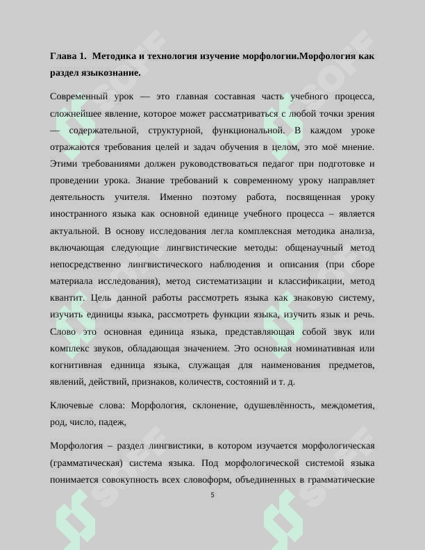 Методика и технология преподавания морфологии в иноязычных группах 5