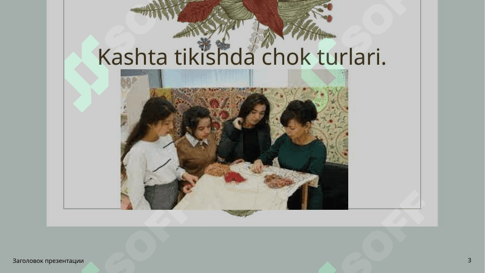KASHTA TURLARI 3