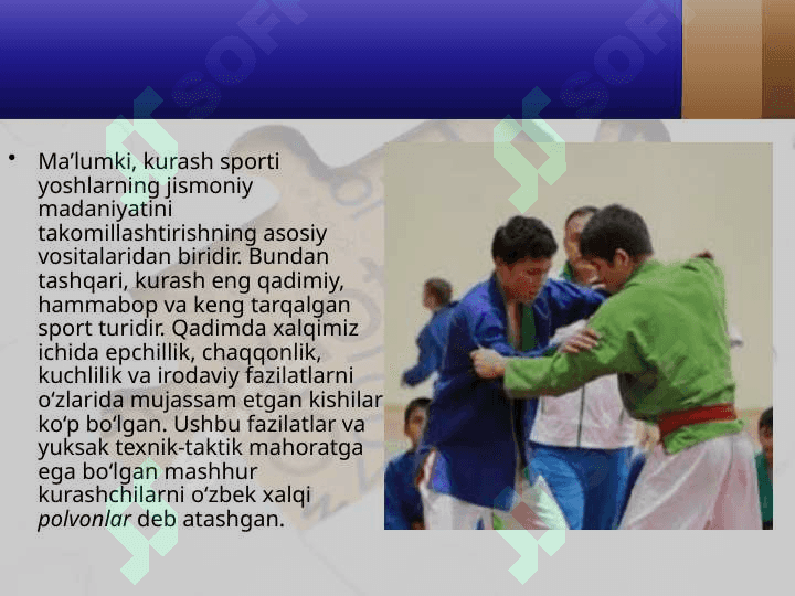 Kurash turlari mashg‘ulotlarida tiklanish vositalari. 2