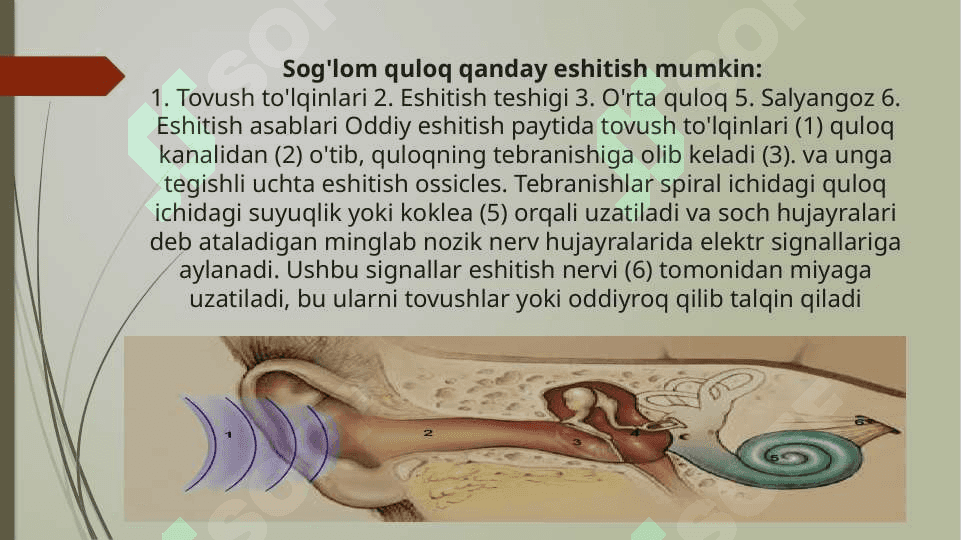 Koxlear implantatsiya: texnologiya, tibbiyot, surdopedagogika va logopediyaning rivojlanishidagi inovatsiya 3