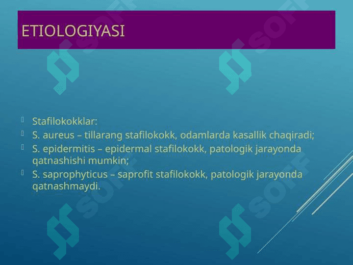 Terining yiringli kasalliklari 5