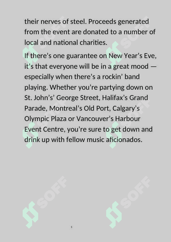 New Year 5