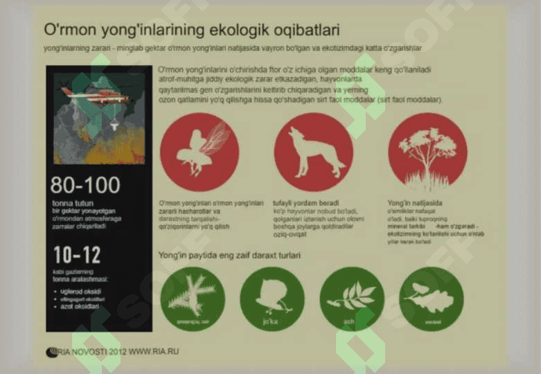 O‘RMON YONG‘INLARI MUAMMOSI 3