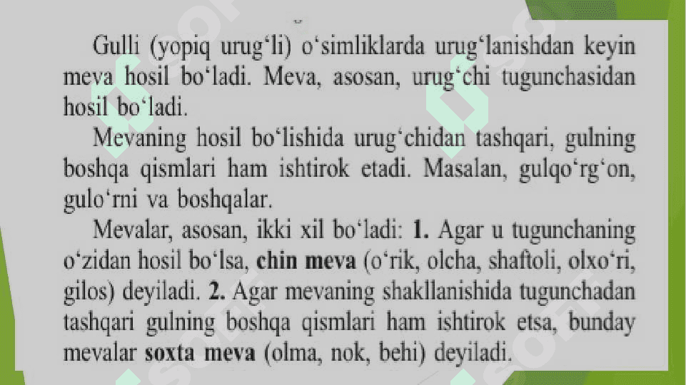 Mevalar 2