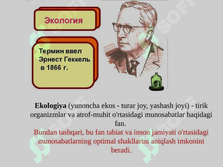 Ekologiyaning asosiy tushunchalari va qonuniyatlari 2
