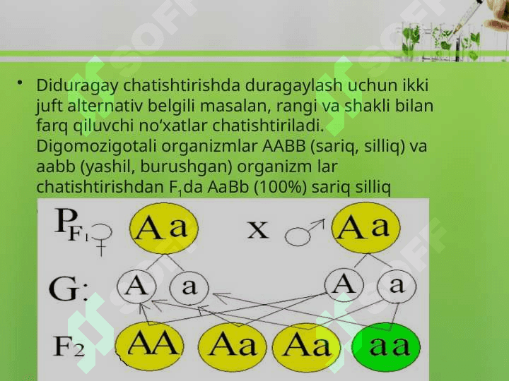 DIDURAGAY VA POLIDURAGAY CHATISHTIRISH.G.MENDELNING UCHINCHI QONUNI 2