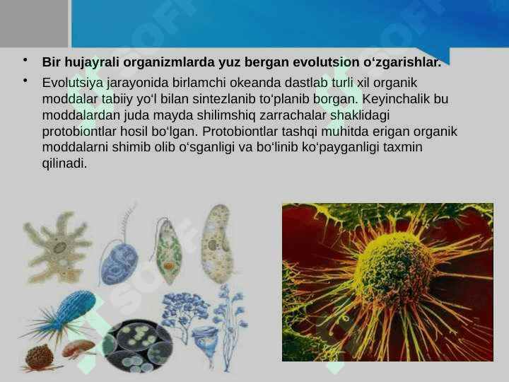 Hayvonot dunyosidagi evolutsion o‘zgarishlar 5