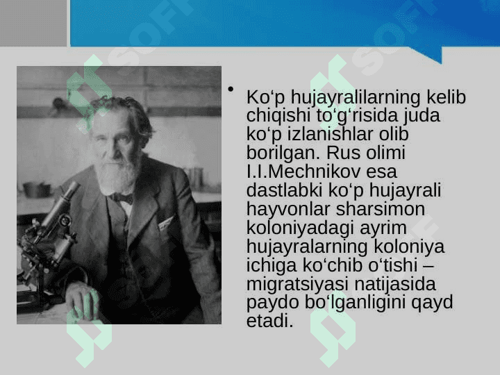 Hayvonot dunyosidagi evolutsion o‘zgarishlar 7