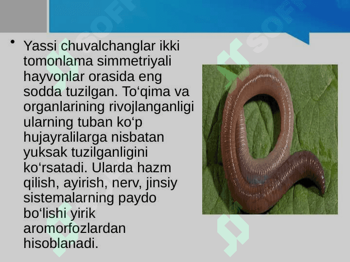 Hayvonot dunyosidagi evolutsion o‘zgarishlar 8
