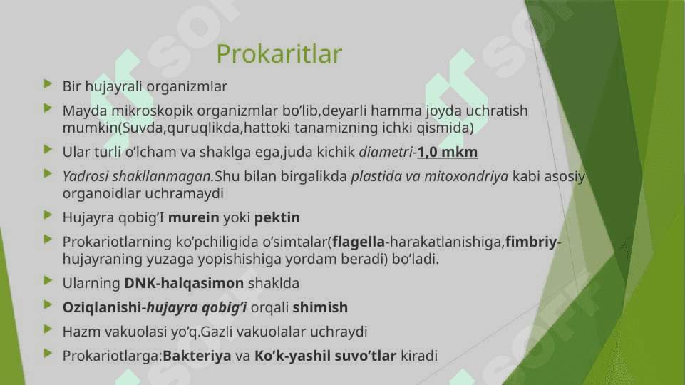 Prokariot hujayralar 3