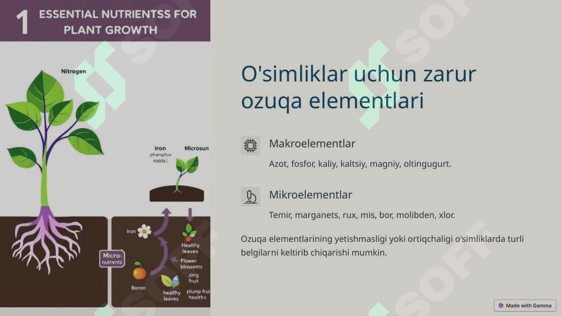 9-amaliy Osimliklarning_osishi_va_rivojlanishiga_turli_ozuqa_muhitlarining 3