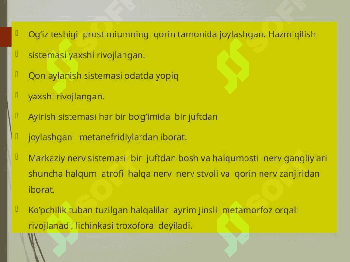 Halqali chuvalchanglar 5