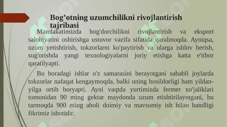 Uzumchilik mahsulotlarini yetishtirish 8