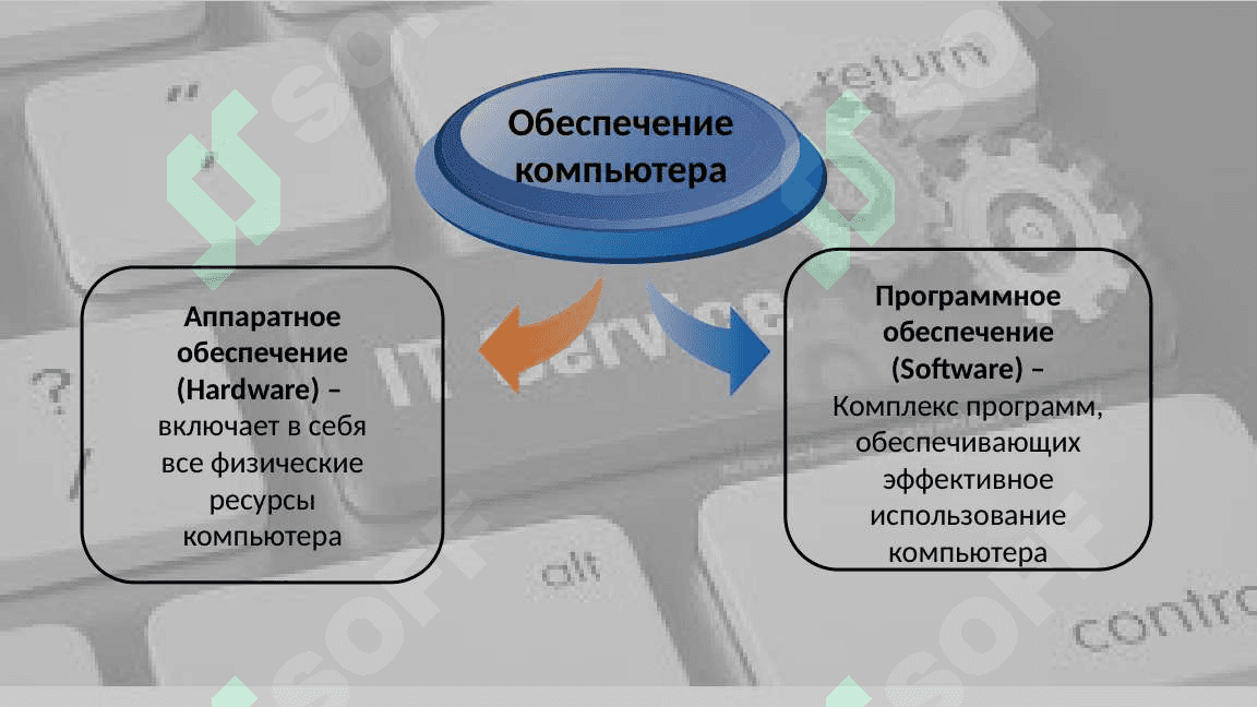 Информационные технологии 7