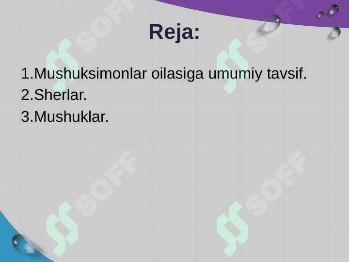 Mushuksimonlar hayot kechirishi va tarqalishi. 2