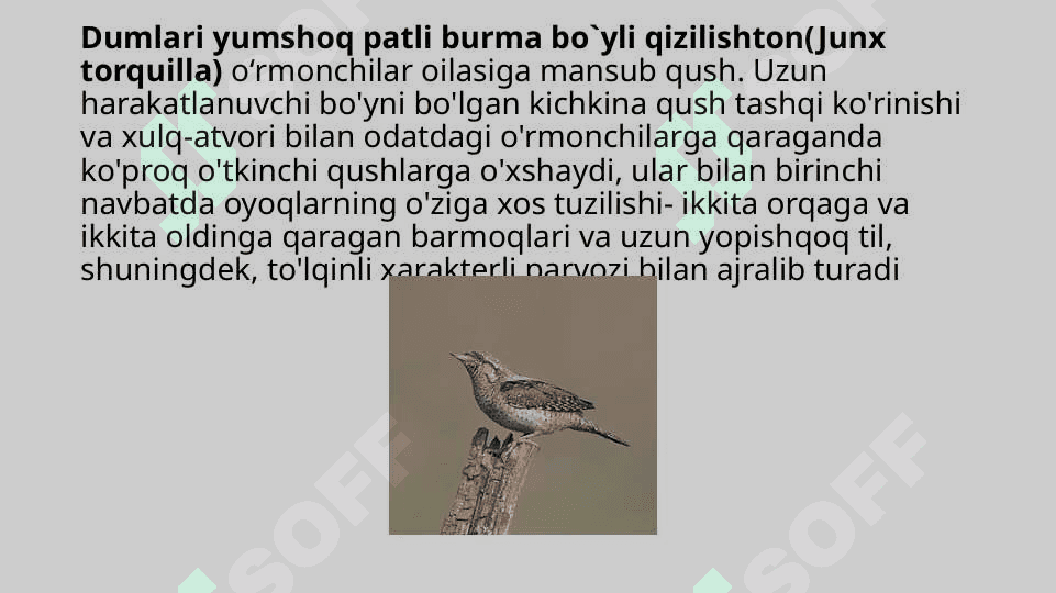 Hasharotxo`r qushlar, ularning tabiatda va inson hayotidagi o`rni 5