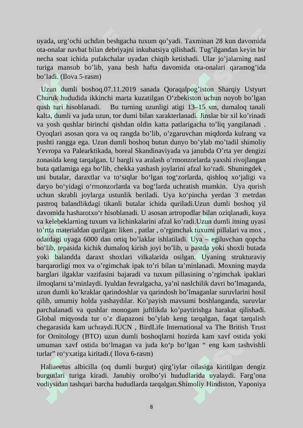 QUSHLAR SINFI 8