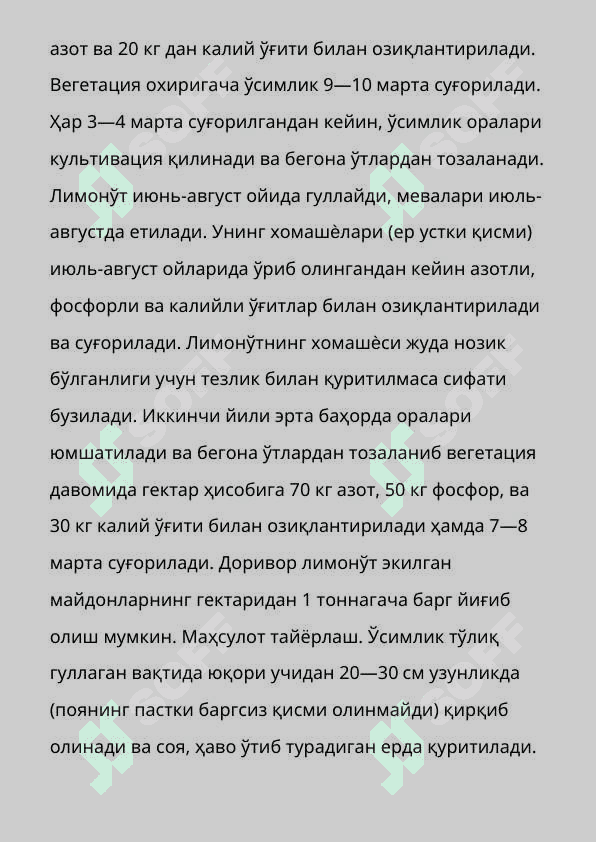 Тошкент вохасида доривор лимон ут- Melissa Officinalis L  усимлигини етиштириш техналогияси 6