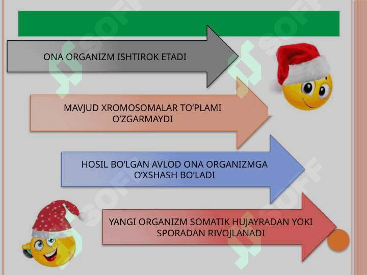 ORGANIZMLARNING JINSSIZ KO'PAYISHI MAVZUSIDAGI BIR SOATLIK DARS ISHLANMA 6