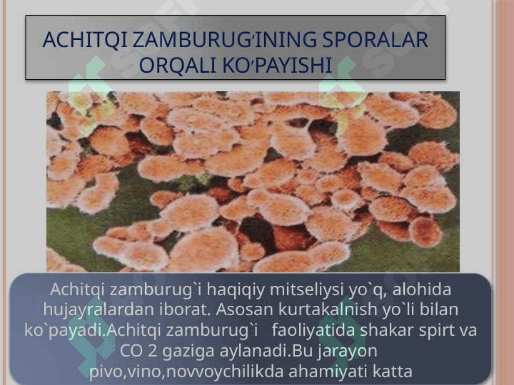 ORGANIZMLARNING JINSSIZ KO'PAYISHI MAVZUSIDAGI BIR SOATLIK DARS ISHLANMA 8