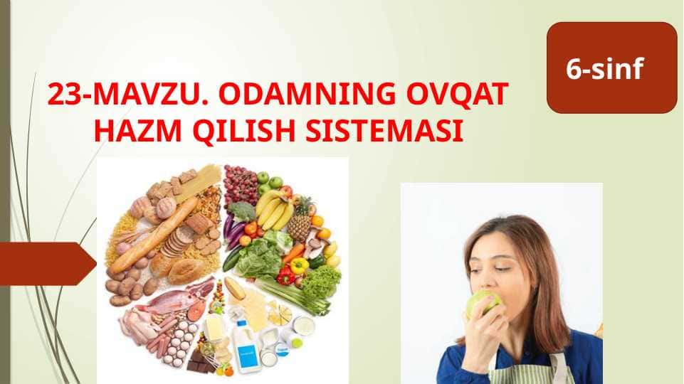 ODAMNING OVQAT HAZM QILISH SISTEMASI