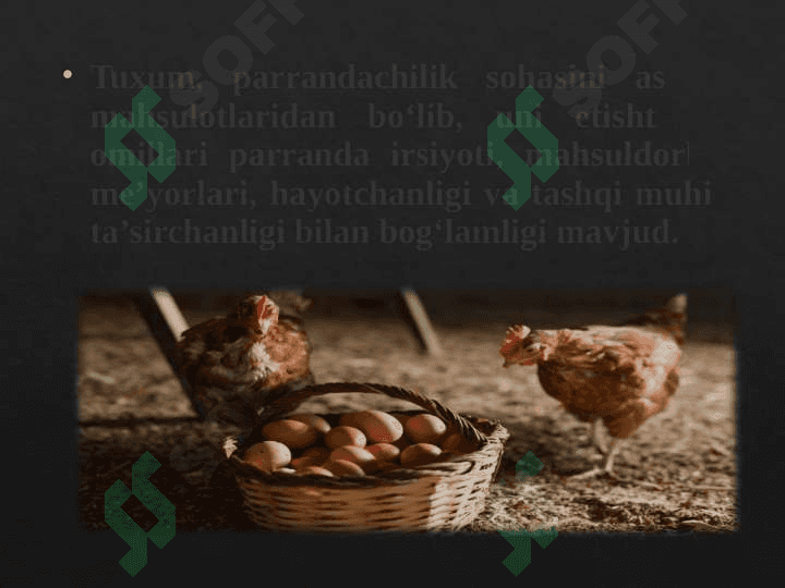 Parrandachilikda go'sht va tuxum yetishtirish zamonaviy texnologiyalari va qurilmalari 8