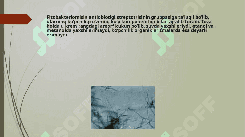fitobakteriomisin ajratib olish texnologiyasi 2