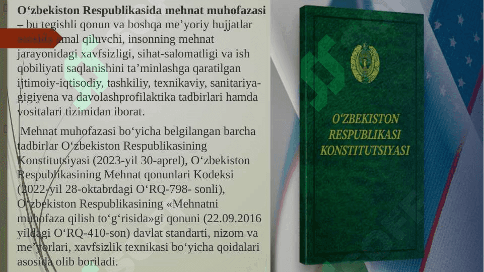 MEHNAT MUHOFAZASINING HUQUQIY VA TASHKILIY ASOSLARINI NAZORAT QILUVCHI ORGANLAR 8