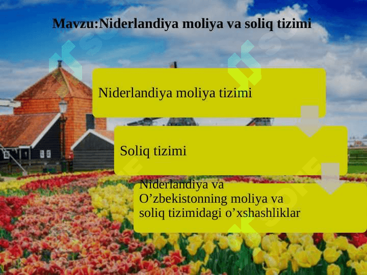 Niderlandiya moliya va soliq tizimi 2