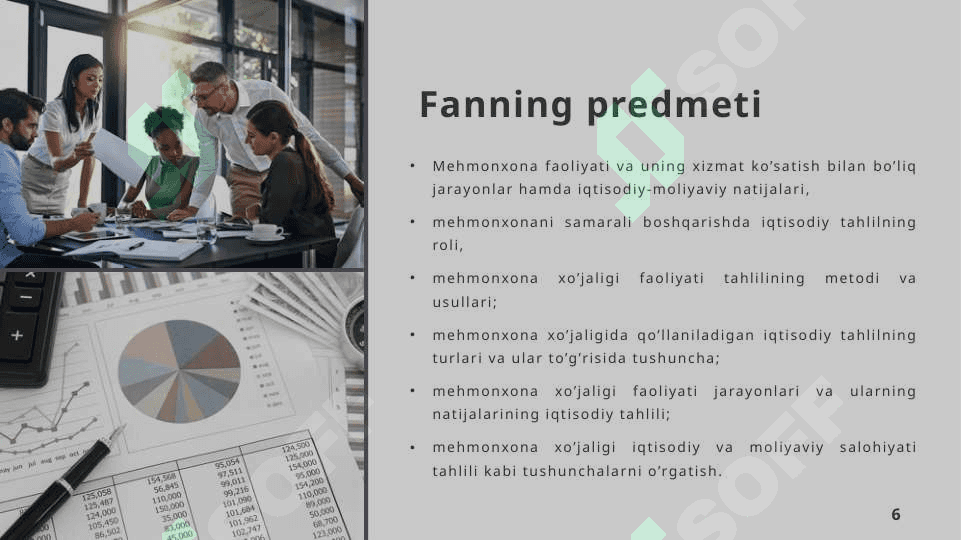 Mehmonxona xo’jaligida faoliyat tahlili faniga kirish 6